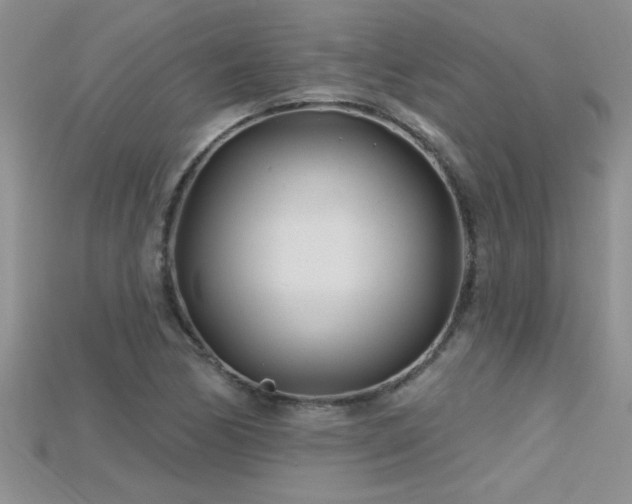X0000115691170200911121301