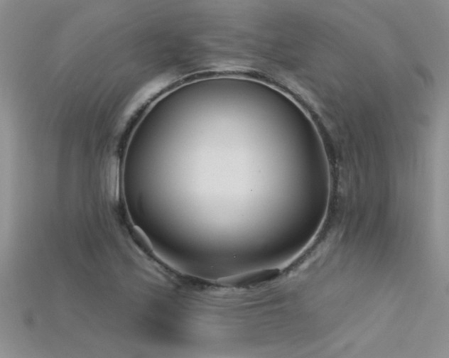 X0000115691171200911121301