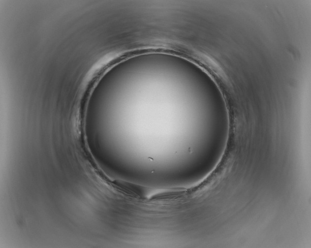 X0000115691172200911121301