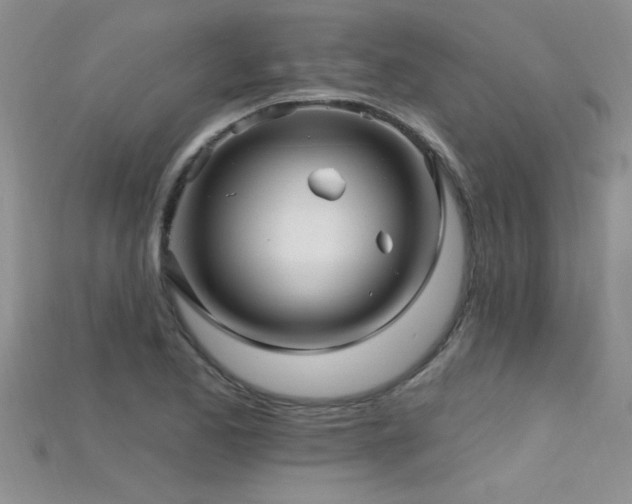 X0000115691173200911121301
