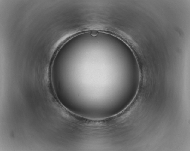 X0000115691174200911121301