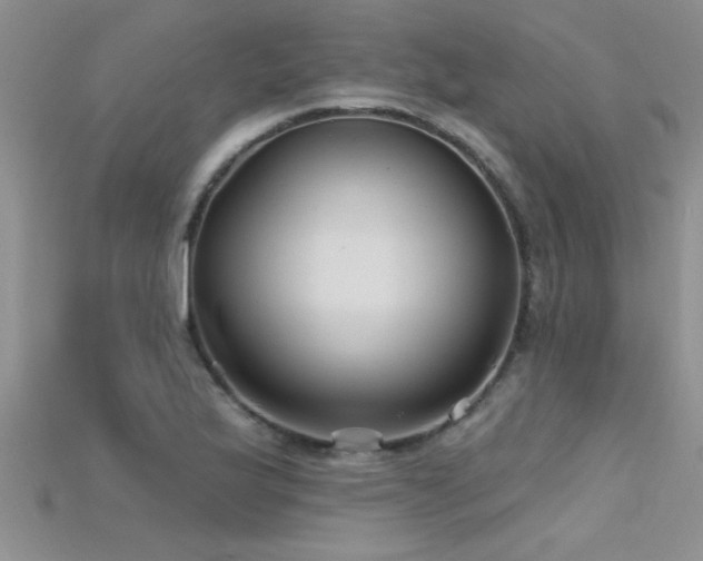 X0000115691175200911121301