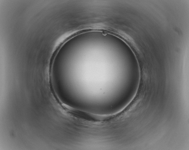 X0000115691176200911121301