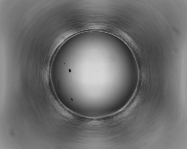 X0000115691178200911121301