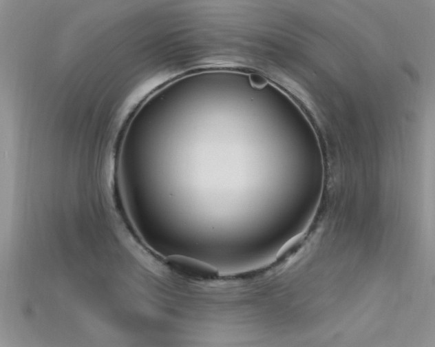 X0000115691179200911121301