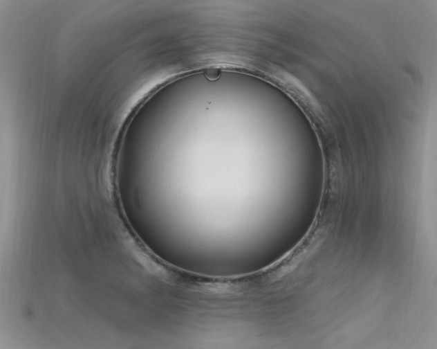 X0000115691182200911121301