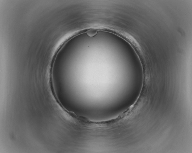 X0000115691183200911121301