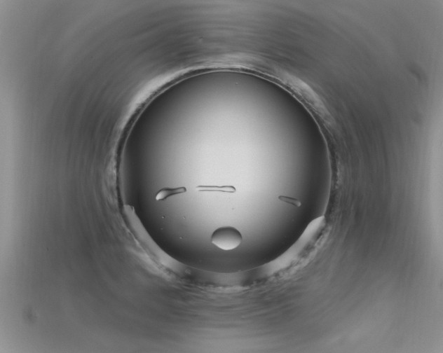 X0000115691184200911121301