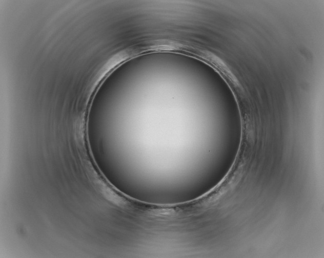 X0000115691186200911121301
