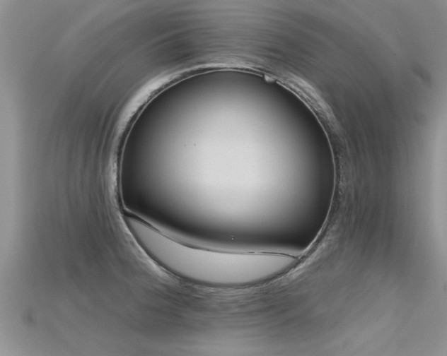 X0000115691188200911121301