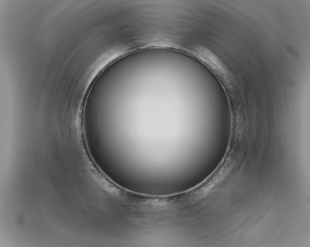 X0000115691190200911121301