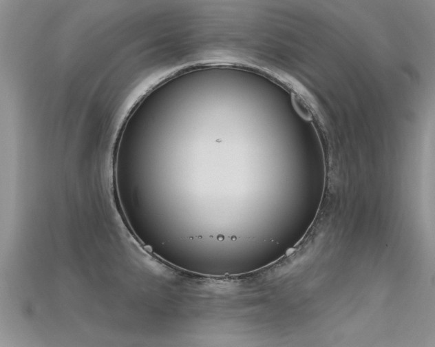 X0000115691191200911121301