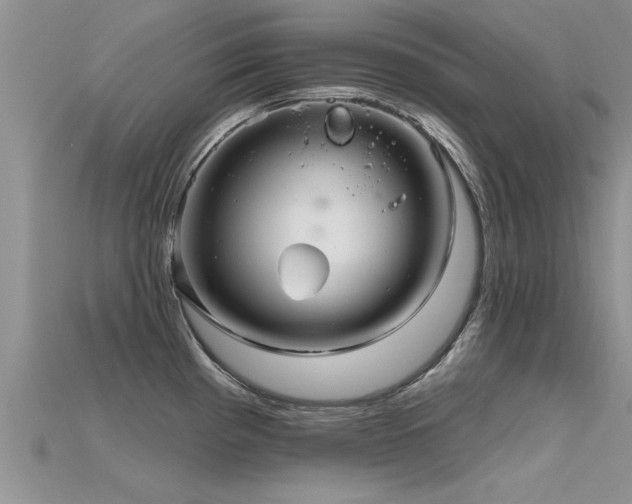X0000115691193200911121301