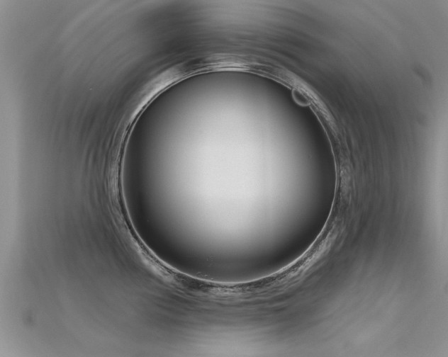 X0000115691194200911121301