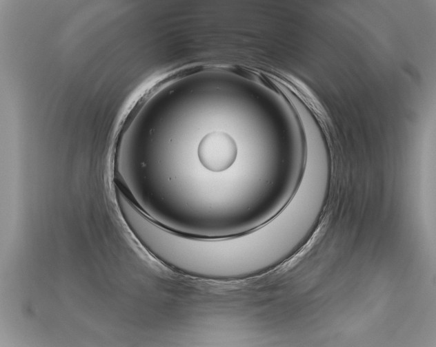 X0000115691196200911121301