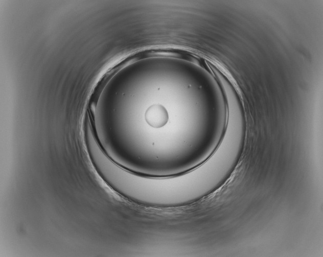 X0000115691197200911121301