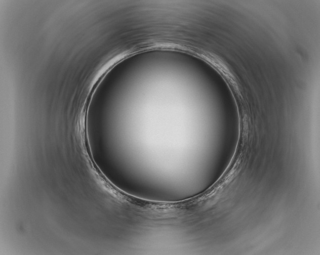 X0000115691198200911121301