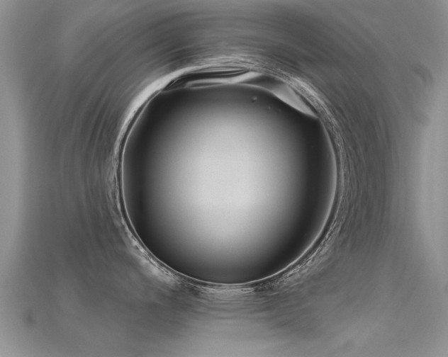 X0000115691200200911121301