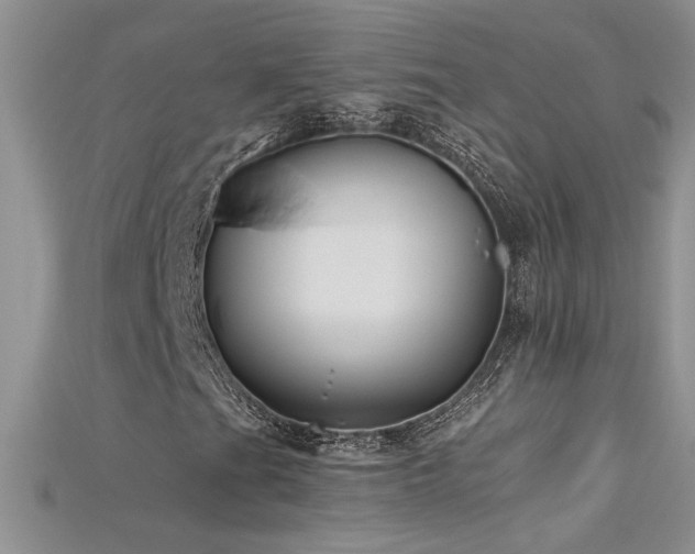 X0000115691201200911121300
