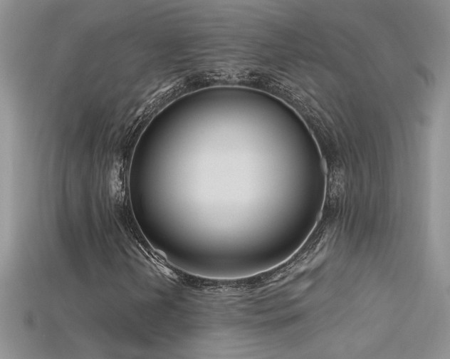X0000115691202200911121300