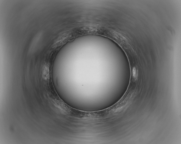 X0000115691203200911121300