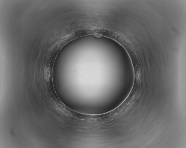 X0000115691204200911121300