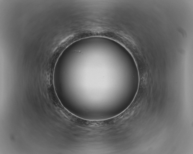 X0000115691205200911121300