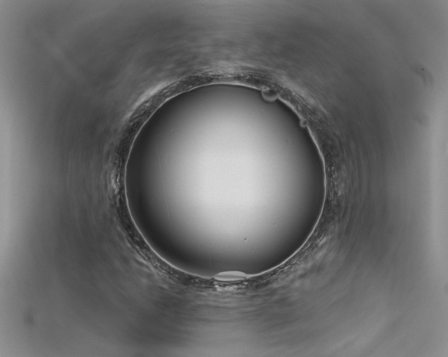 X0000115691206200911121300