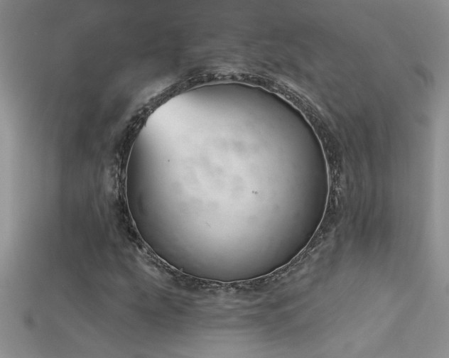 X0000115691207200911121300