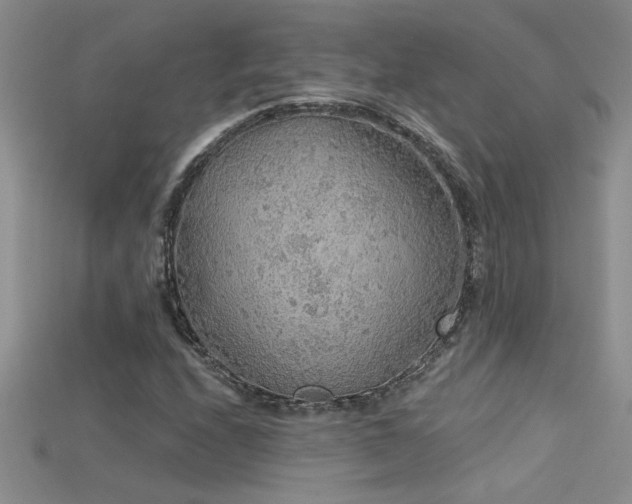 X0000115691208200911121301