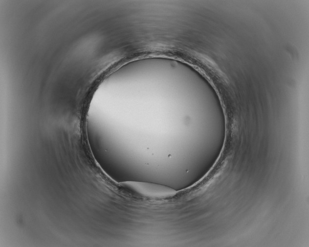 X0000115691209200911121301
