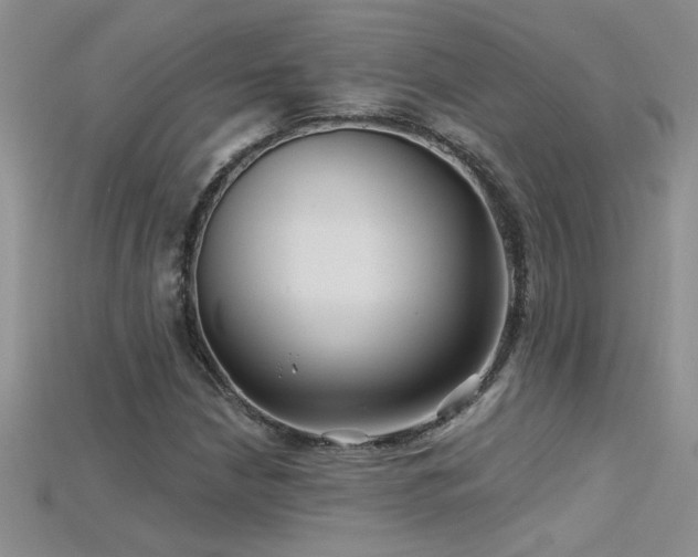 X0000115691210200911121301