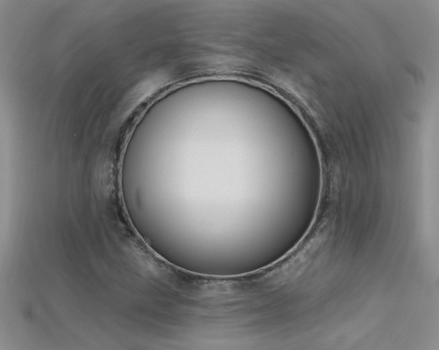 X0000115691211200911121301