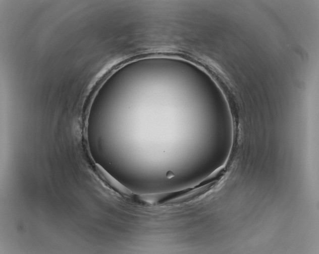 X0000115691212200911121301