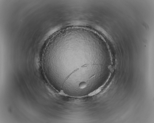 X0000115691213200911121301