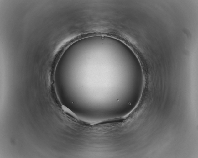 X0000115691214200911121301