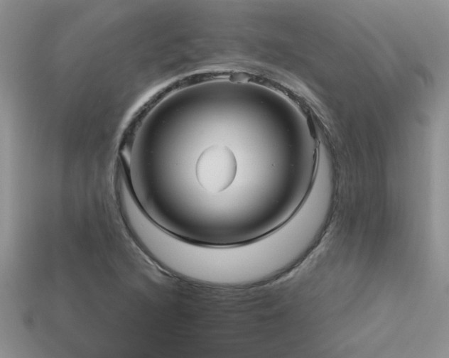 X0000115691216200911121301
