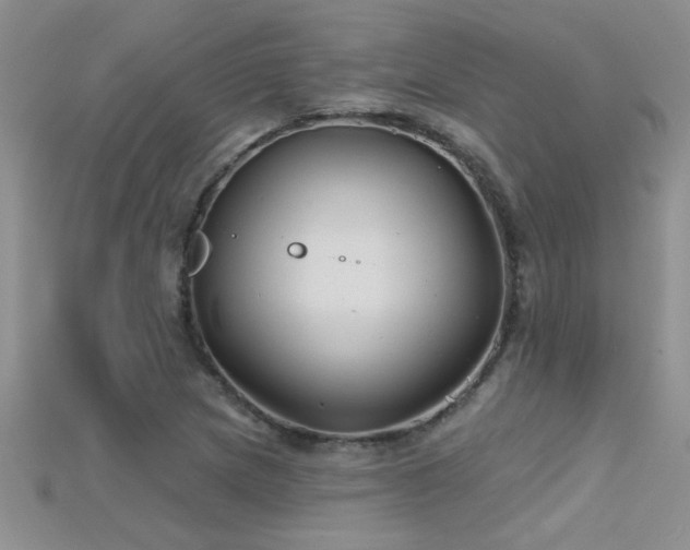 X0000115691217200911121301