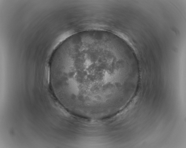 X0000115691219200911121301