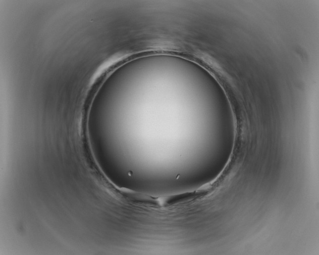 X0000115691222200911121301