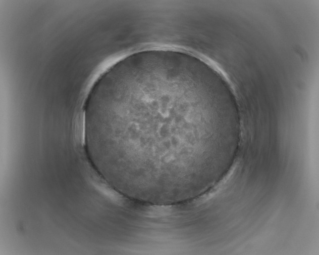 X0000115691223200911121301