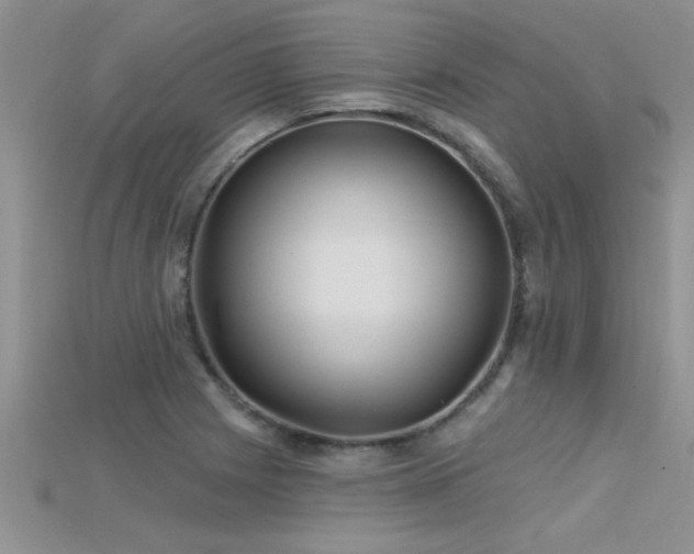 X0000115691225200911121301
