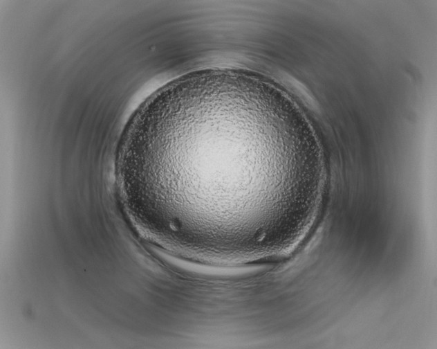 X0000115691226200911121301