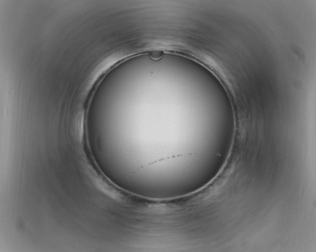 X0000115691227200911121301
