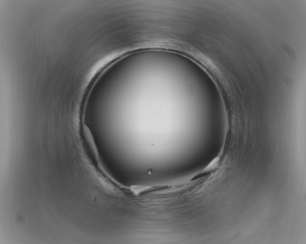 X0000115691230200911121301