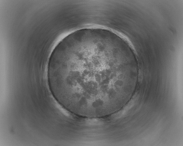 X0000115691231200911121301