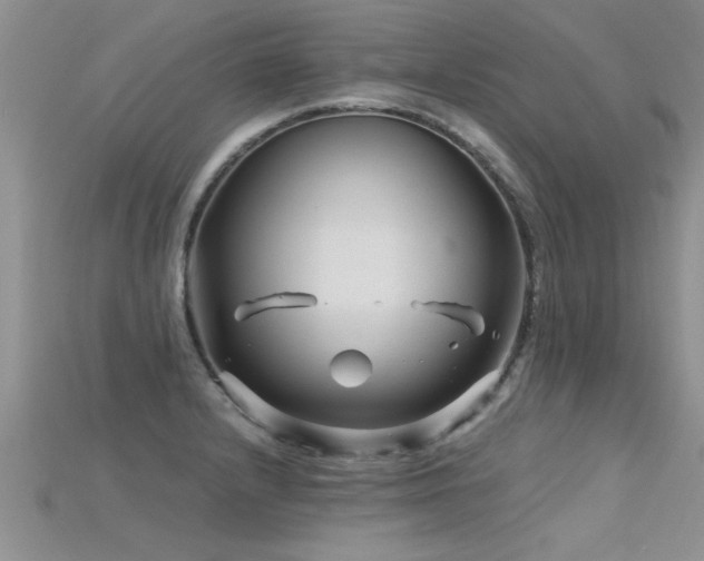 X0000115691232200911121301