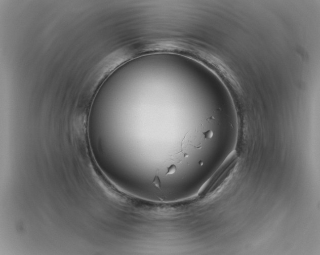 X0000115691233200911121301