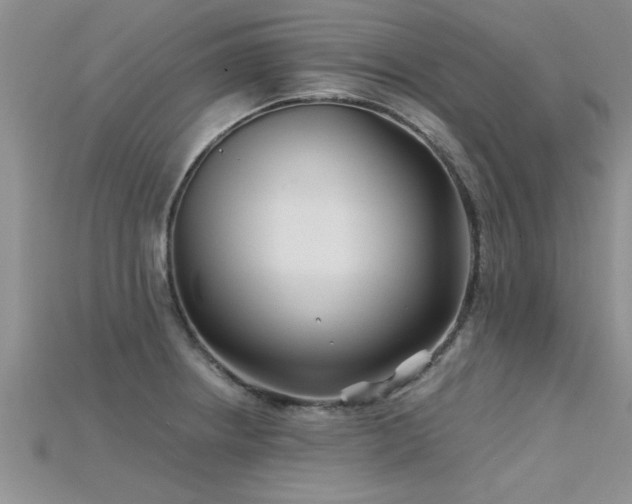 X0000115691234200911121301