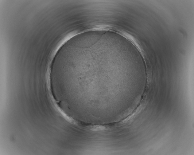 X0000115691235200911121301